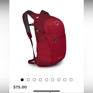 NWT Osprey Daylite Plus Backpack/Daypack